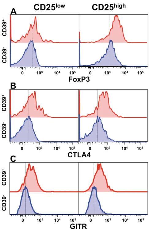 Figure 1. CD4 + CD25 high CD39 + T cells express increased levels of Treg markers. FoxP3 (A), CTLA4 (B) and GITR (C) expression, as measured by flow cytometry, are increased in CD4 + CD39 + , as compared to CD4 + CD39 2 T cells, especially in the CD25 high