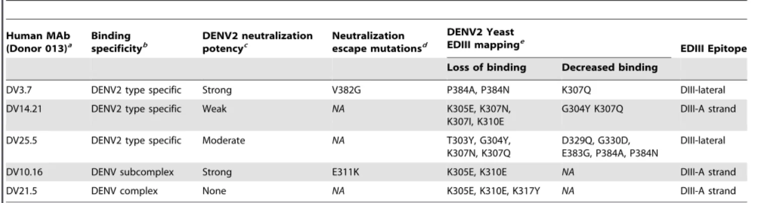 Table 3 summarizes all mutations that resulted in loss of binding or neutralization of EDIII antibodies generated from donor 013.