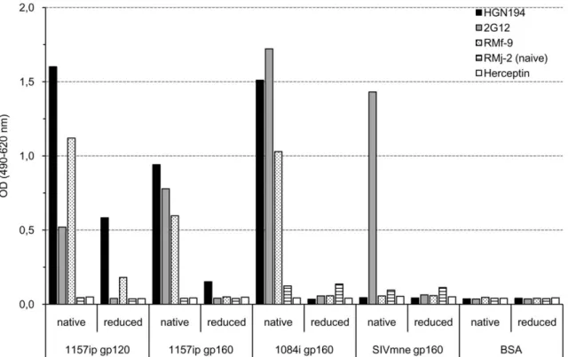 Figure 1. HGN194 targets a unique conformational V3-loop epitope. Plasma from monkey RMf-9 (white bars with black dots), chronically infected with SHIV-1157ip, was used as positive control as well as 2G12 (grey bars), a mAb targeting a conformational manno