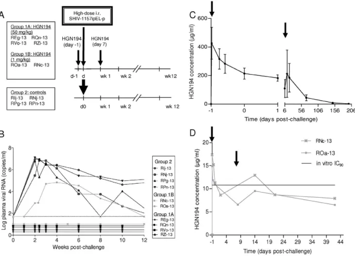 Figure 2. Passive immunization with HGN194 against heterologous clade C SHIV challenge in infant rhesus macaques