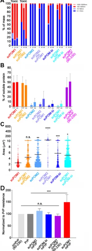 Fig 4. scPOM-bi prevents the formation of soluble, PK resistant oligomers. (A) DLS showed the presence of soluble oligomers (red shades in histograms, reported as percentage) upon addition of the POM1 toxic antibody to