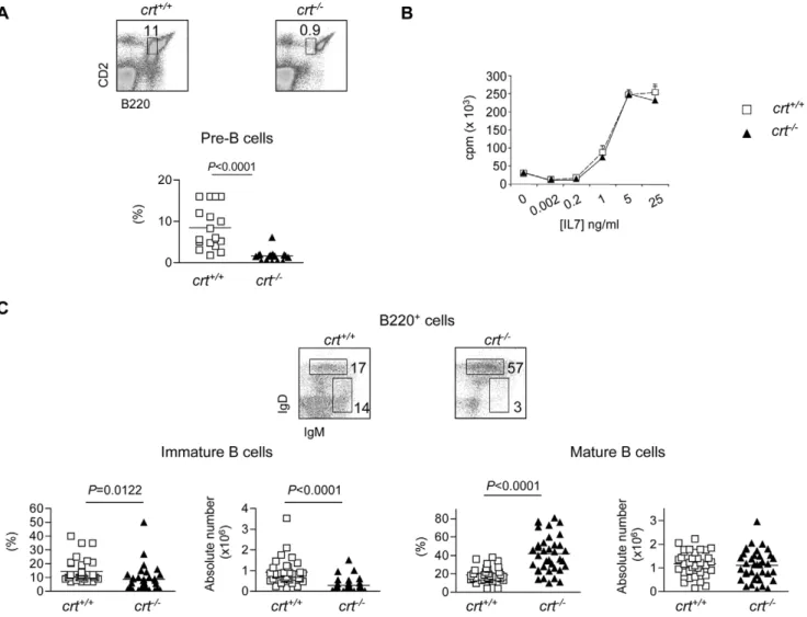 Figure 2. B cell progenitors but not mature B cells depletion in the BM of crt 2/2 FLC