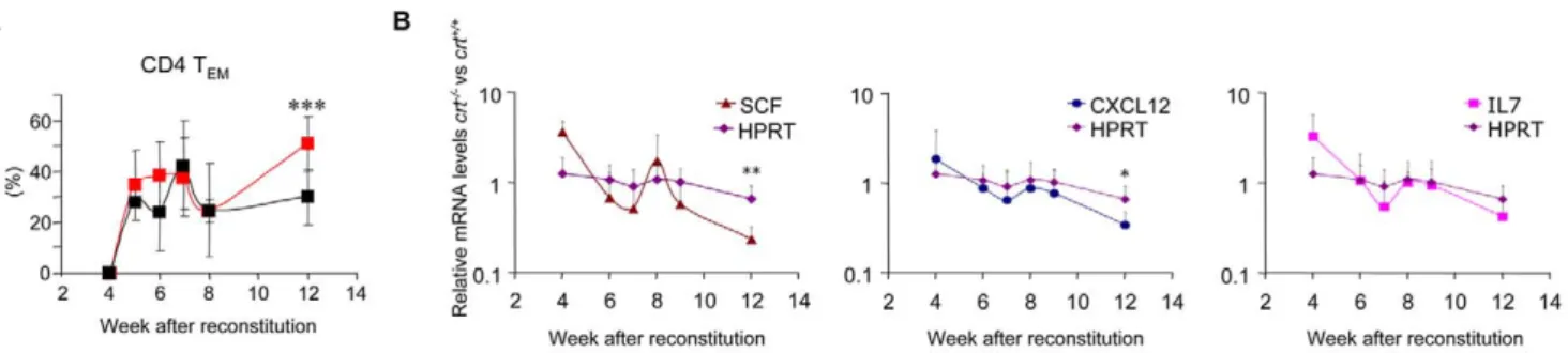 Figure 5. Depletion of MZ B cells in inflammation. (A) Dot plot analysis of electronically gated B220 + splenocytes stained with IgM and IgD specific antibodies in representative crt +/+ and crt 2/2 FLC