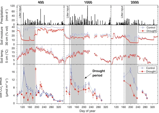 Table 1). Soil water contents at 30 cm depth decreased by 69–22 % during the drought period, with the smallest decline at site 1,000 where soils showed signs of temporary water logging