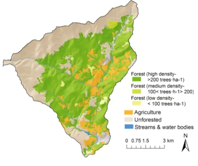 Fig. 3 Scheme of methodological approach for flood risk estimation. Qt is a given return period discharge;