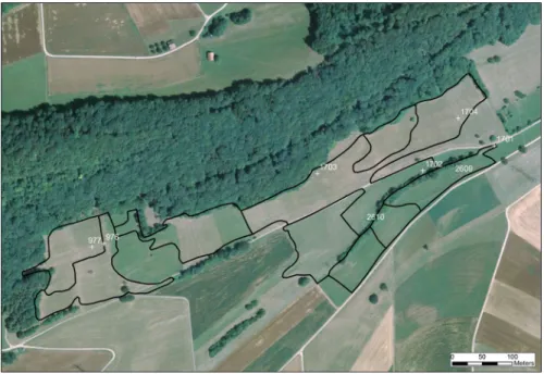 Fig. 1 Example of a dry grassland object in the Swiss Jura mountains containing 9 polygons (black delineation)