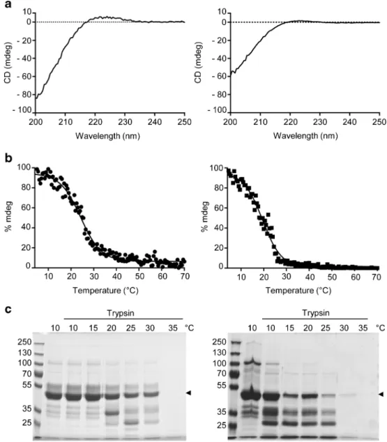 Fig. 6 Circular dichroism of recombinant human hCOL3. a Samples of purified hydroxylated (left panel) and non-hydroxylated recombinant hCOL3 protein (right panel ) protein at 0.1 mg/ml were scanned between 200 and 250 nm in a spectropolarimeter