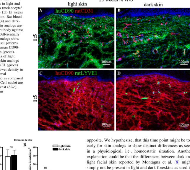 Fig. 5 Host blood and lymphatic vessels in light and dark skin analogs (melanocyte/