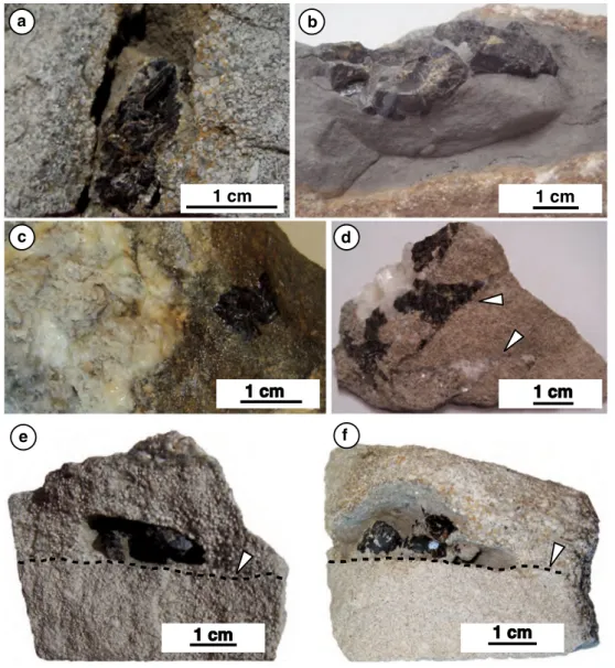 Fig. 3   Photographs of representative samples of oolitic rock con- con-taining coarse sphalerite crystals