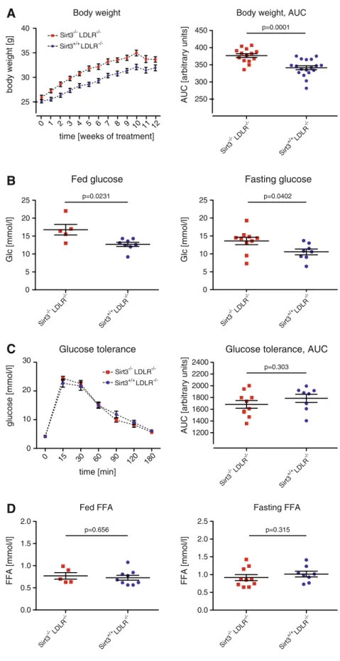 Fig. 6 Deletion of Sirt3 accelerates weight gain and increases plasma glucose levels.