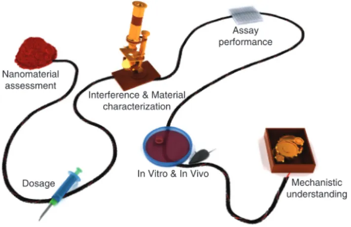 Figure 3: Important components that allow to link nanomaterial  assessment with mechanistic understanding in a biological system  in a reliable way.