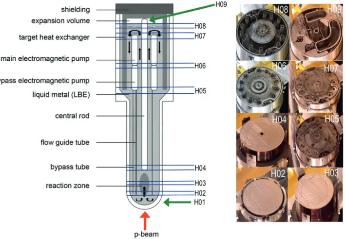 Fig. 1: Scheme of the MEGAPIE target assembly and its main components. The liquid metal flow is indicated by the black arrows in the inner part of the scheme