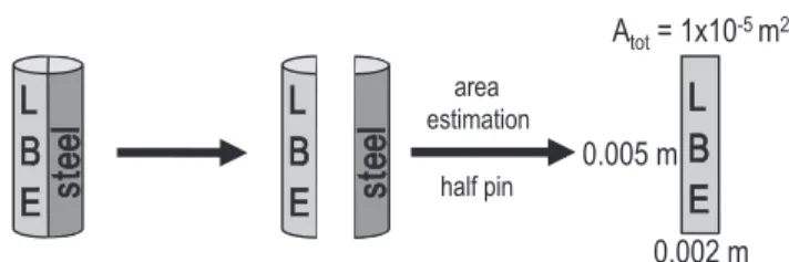 Fig. 5: Illustration of a LBE/steel-interface sample, broken into two parts. The area of one part is given [19].