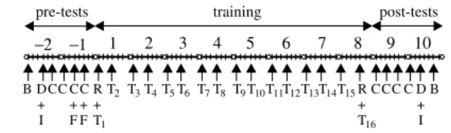 Fig. 1   Study design on a weekly scale ( − 2 to 10). B biopsy, C con- con-stant-load test, D dual-energy X-ray absorptiometry, F  familiariza-tion,  I incremental ramp test, R testing of 1rM, dynamometry and  jumping mechanography, T 1–16  training sessio