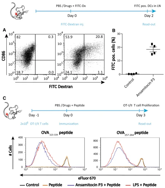 Fig. 3   DC homing to tumor-draining lns and enhanced in vivo T  cell responses after ansamitocin P3 treatment
