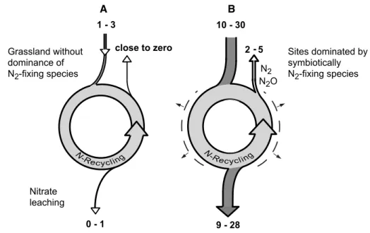 Fig. 2   a schematic illustration  of n dynamics in systems with  a ‘normal’ versus systems with  b increased n input through  n 2 -fixing plants in cold biomes