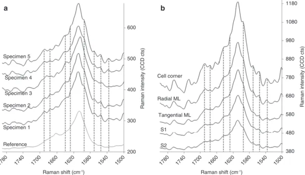 Figure 7 Average Raman spectra in the band area assigned to lignin (1600 cm -1 ). (a) Sound S2 in five waterlogged archaeo- archaeo-logical wood specimens and in reference material (detail of spectrum in Figure 5); shoulders that are not present in referen
