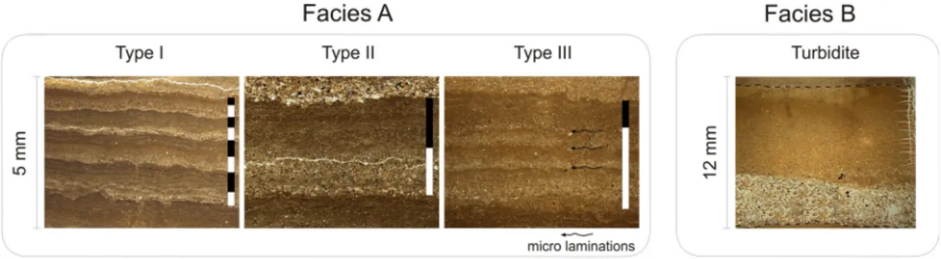 Fig. 4 Sediment chronologies: a downcore activities of unsup- unsup-ported 210 Pb and 137 Cs for OES-07, and comparison between the