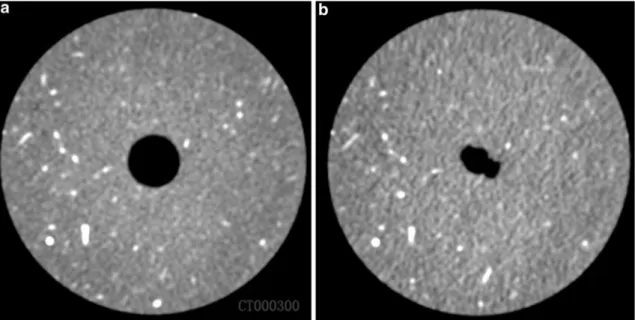 Fig. 4 Computation of pyrite inclusion displacement by means of a particle tracking technique comparing the XRCT images before (a) and after (b) the mechanical unloading