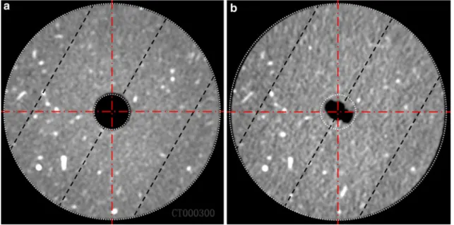 Fig. 7 Medium resolution XRCT scans of Boom clay N13B-Bis sample cored parallel to the bedding planes (black dashed lines) before (a) and after (b) the mechanical unloading
