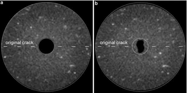 Fig. 10 Medium resolution XRCT scans before (a) and after (b) mechanical unloading of Boom clay N14-Bis sample cored perpendicular to bedding and characterised by a distinct fissure roughly located along a diametrical plane (schematically represented by th