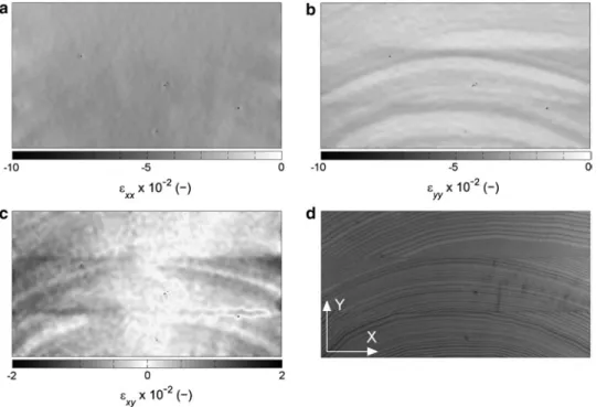 Figure 5: StrD for ε xx  (a), ε yy  (b), and ε xy  (c) from overall view AOI for one representative EPI-bonded sample together with the corresponding  image of the test specimen before test (d).
