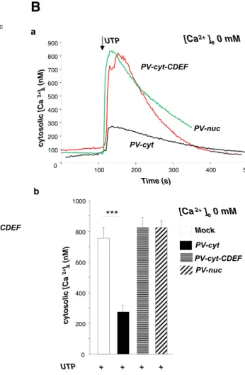 Fig. 3 Cytoplasmic overexpression of PV modulates [Ca 2+ ] i transients and NCC expression induced by nucleotide stimulation
