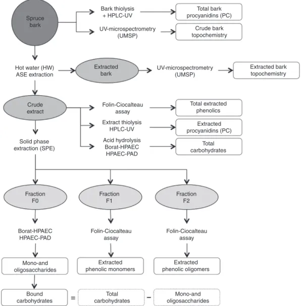 Figure 2: Flow diagram of the experimental design used in the characterization of spruce bark and extracts.