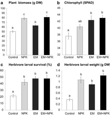 Fig. 2 Organic and chemical fertilizer effect on a plant biomass and b chlorophyll levels for the plants that were either left unfertilized (control), fertilized with commercial chemical fertilizer (NPK), inoculated with beneficial microorganism (EM-1 from