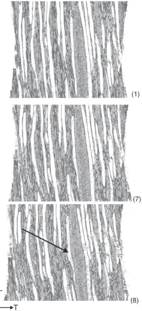 Figure 6c shows the deformation of vessels in beech. 