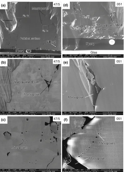 Fig. 1 SEM images at different magnifications of samples 47/5 and 051. a and d Overview of the area, which was polished with help of a BIB instrument