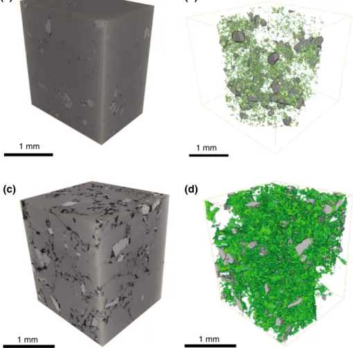 Fig. 2 Visualization of the XCT data set of sample 47/5 and sample 051. a 3D reconstruction of the analyzed volume of sample 47/5 and b 3D reconstruction of pore space (green) and a mineral (anhydrite) with bright image contrast (grey)