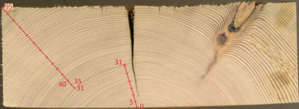 Figure 3 shows the dynamic elastic modulus values for aged wood and recent wood specimens