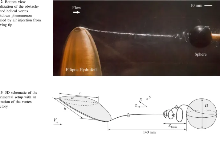 Fig. 2 Bottom view visualization of the  obstacle-induced helical vortex breakdown phenomenon revealed by air injection from the wing tip