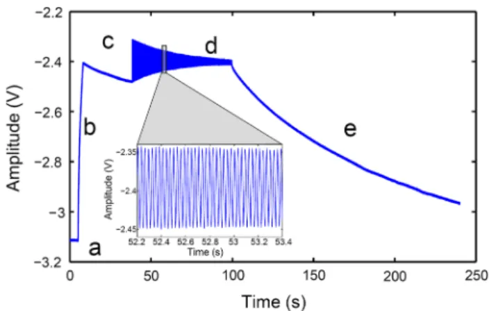 Fig. 2 Glass cell used in the setup. O-rings in machined grooves compressed by the quartz plates guarantee vacuum tightness at both ends (not shown in the image)