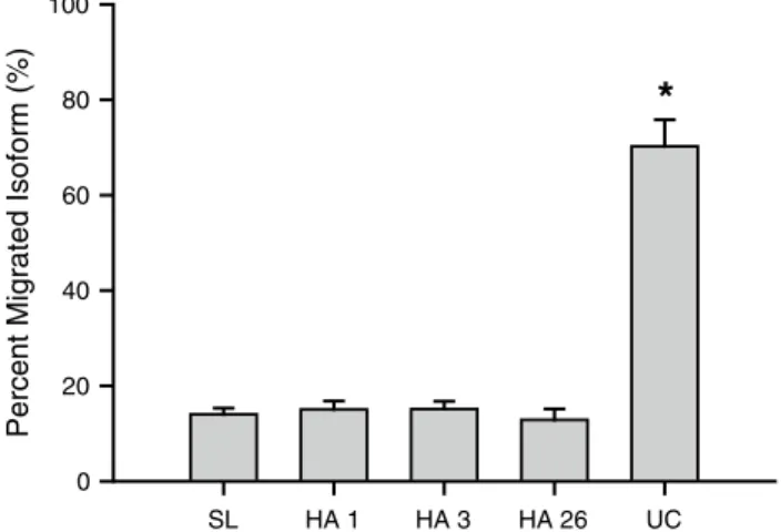Fig. 2   Plasma (open circles) and urine (filled circles) EPO concen- concen-trations (mlU ml − 1  and ng l − 1 , respectively) in seven volunteers  stud-ied at sea level (Sl) and after 1 (HA1), 3 (HA3) and 26 (HA26) days  during exposure to 3,454 m altitu