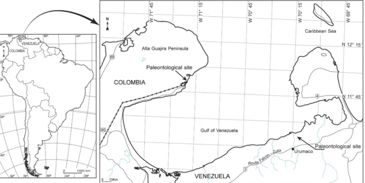 Fig. 1 Map with the paleontological sites in Venezuela and Colombia where Cyonasua sp