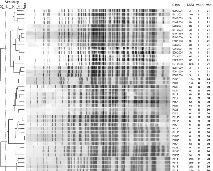 Fig. 2 Example of double digest selective label (DDSL) banding patterns compared to the typing results of double-locus sequence typing (DLST).