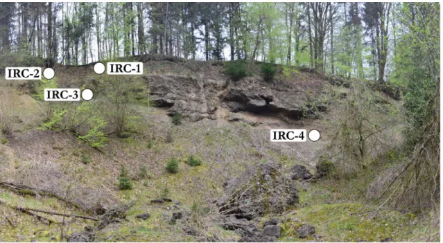 Fig. 3 Panoramic field photograph showing the locations of the IRC samples at the Irchel site