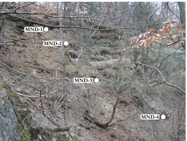 Fig. 4 Field photograph showing the locations of the MND samples at the Mandach site