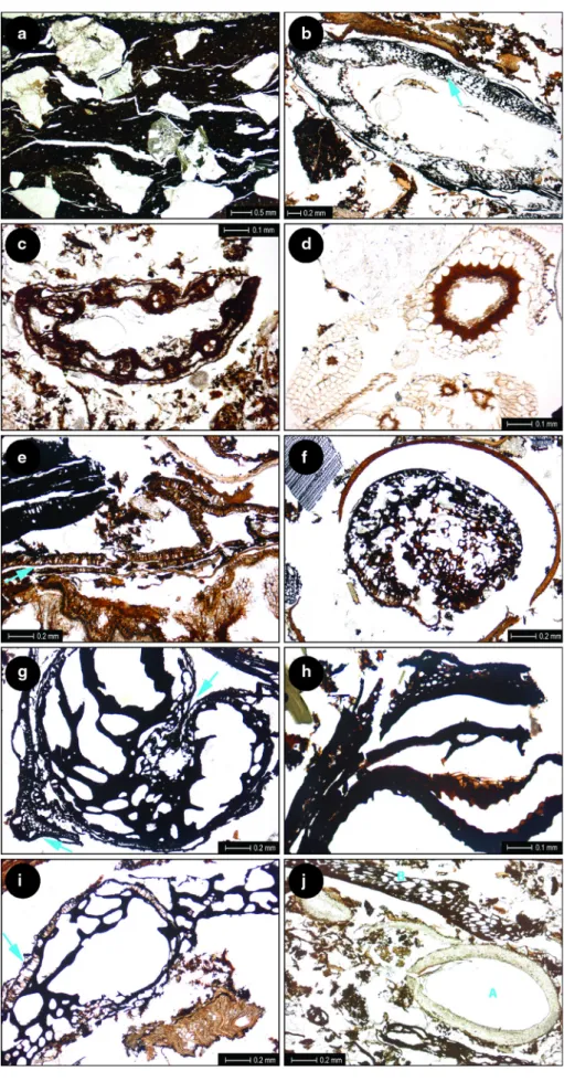 Fig. 7 Selected details from the Lake Luokesa thin sections, all in plain light; a LALU 4.2.2, a cross section through a pottery fragment with coarse tempering (granite fragments)