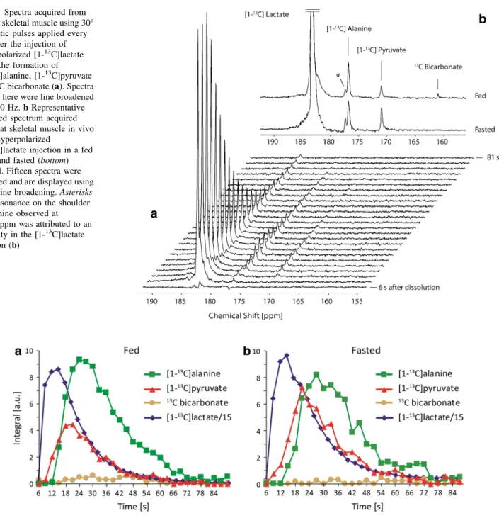 Fig. 3 Timecourses of integrated spectra showing the evolution of the injected hyperpolarized substrate [1- 13 C]lactate and its  down-stream metabolites pyruvate, alanine and bicarbonate in a fed (a) and