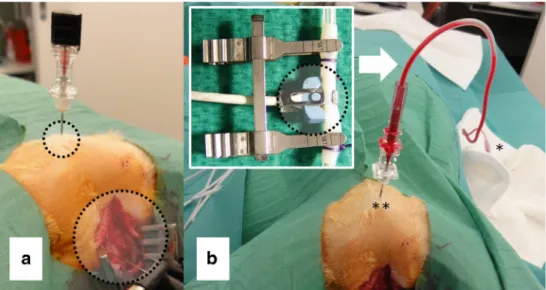 Fig. 2 Experimental setting. a Entry point for the percutaneous place- place-ment of the paediatric spinal tap needle into the cisterna (small dashed circle) and area of midline incision over the skull where the neuromonitoring is placed according to outer