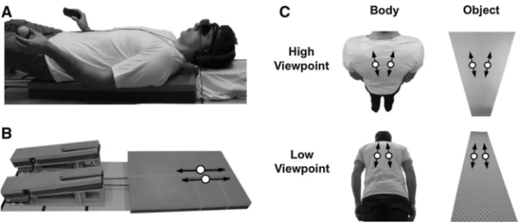 Fig. 1   Experimental setup and stimuli. a Participants were lying  supine on a robotic device that applied tactile stroking and wore a  head-mounted display in which they saw visual stimuli