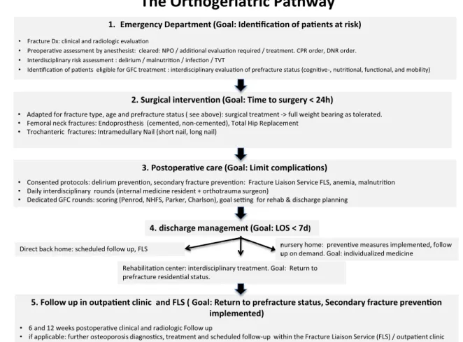 Fig. 1 The Orthogeriatric pathway