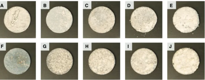 Figure 1: Photographs of the samples immersed in (A–E) HBSS and (F–J) HBSS +10% FBS for 1, 2, 3, 4 and 7 days, respectively, from left to right.