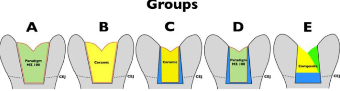 Fig. 1 Description of experimental groups A – E prepared also in the dentin