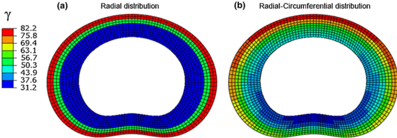 FIGURE 3. Distribution of c over the cross-section of the disk for the model with a radial distribution (RDM, a) and a radial- radial-circumferential distribution of the lamellae stiffness (RCDM, b).