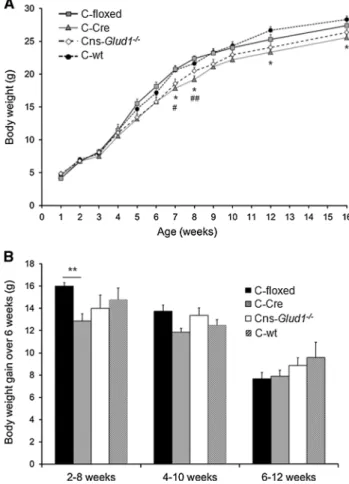 Fig. 2 Expression and activity of GDH in Cns-Glud1 -/- mice.