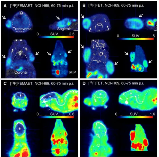 Fig. 3 PET/CT images of NCI-H69 xenograft-bearing mice with [ 18 F]FEMAET (a, c) and [ 18 F]FET (b, d)